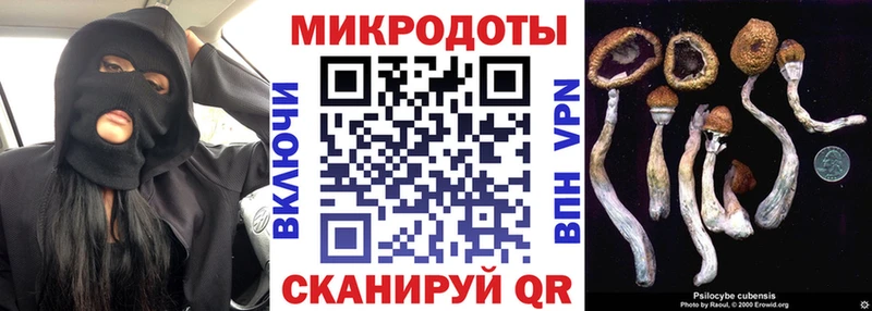 продажа наркотиков  сайты даркнета как зайти  Галлюциногенные грибы MAGIC MUSHROOMS  Петровск 